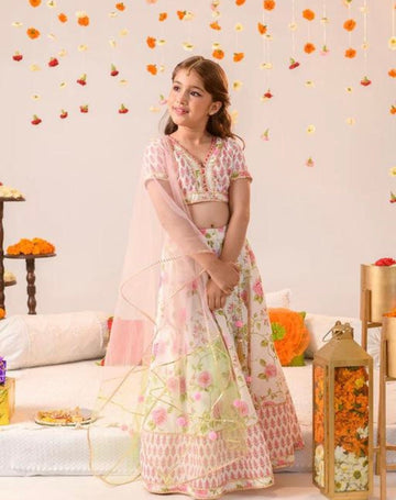 Girls party wear lehenga choli set