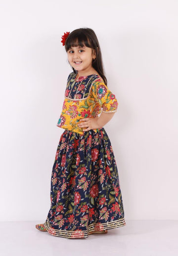 Blush - lehenga and blouse (Radha)