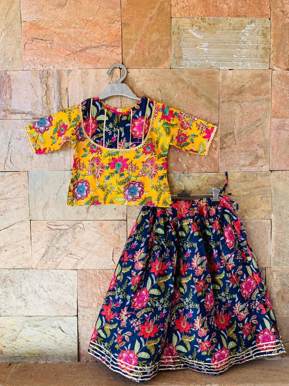 Blush - lehenga and blouse (Radha)