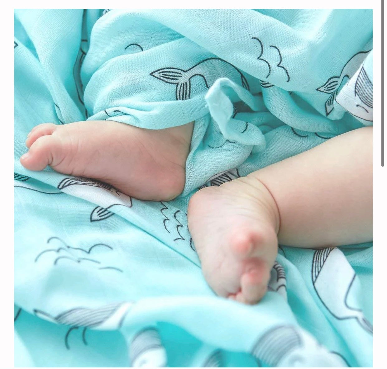 Swaddle set of 5