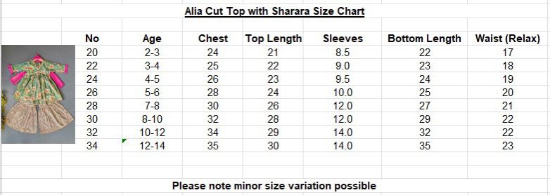 Mehek - Alia cut sharara set with dupatta