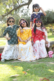 Festive fusion red lehenga- dupatta set